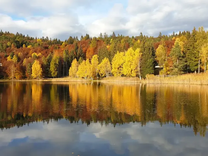 Colori autunnali vibranti si specchiano nel lago santo Val di Cembra, creando un paesaggio incantevole.