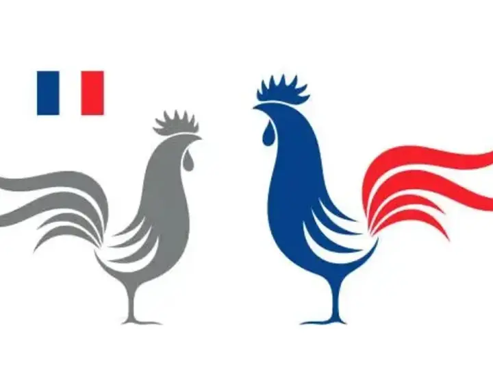Dos gallos estilizados, uno gris y otro azul con cola roja, junto a la bandera francesa. El gallo es el animal nacional de Francia.