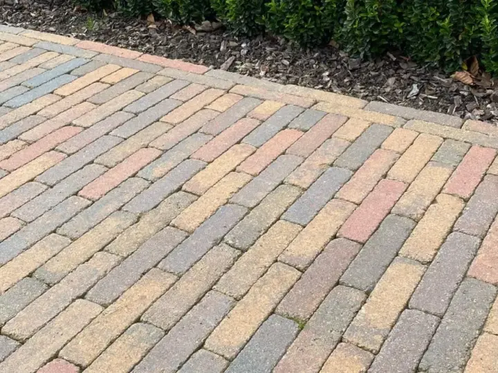 Un chemin en pavés extérieurs aux teintes chaudes et grises, bordé par un buisson verdoyant.