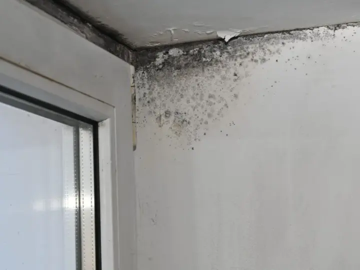 Angolo di una stanza con evidenti danni da infiltrazioni acqua piovana, muffa nera e scrostamenti sul soffitto e sulla parete vicino al serramento.