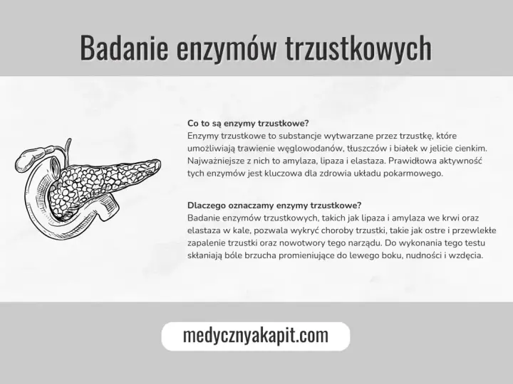Ilustracja przedstawia trzustkę. Tekst omawia, jakie badania na trzustkę są wykonywane, w tym badanie enzymów trzustkowych.