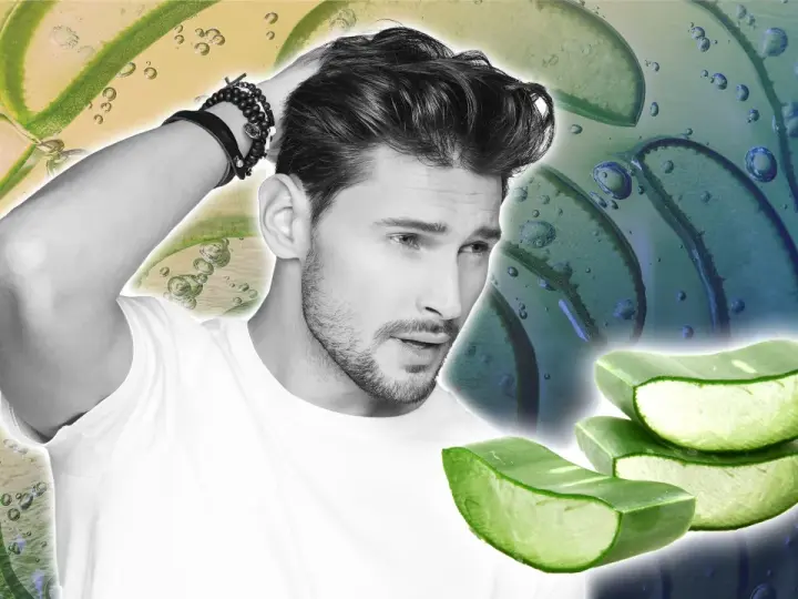 Homme aux cheveux soignés, avec des tranches d'aloe vera. L'aloe vera cuir chevelu est un ingrédient naturel pour des cheveux sains.