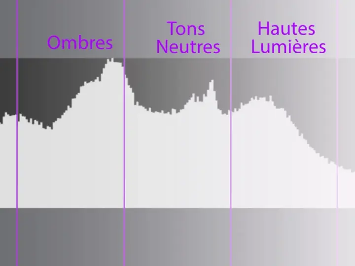 Comprendre comment lire un histogramme : une représentation graphique des tons d'une image, des noirs aux blancs, avec des zones pour les ombres, tons neutres et hautes lumières.