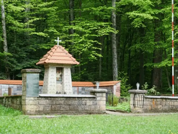 Rezerwat przyrody Wykus: piękno natury i historia partyzancka