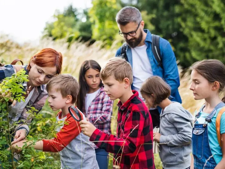 Za co odpowiada wychowawca na kolonii? Bezpieczeństwo i prawo
