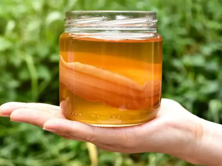 Un bocal de kombucha, boisson fermentée, tenu dans une main. Le SCOBY flotte dans le liquide ambré.