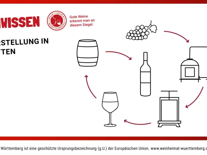 Illustration zeigt die **Weinherstellung Schritte**: Trauben, Presse, Flasche, Fass und Tanks.