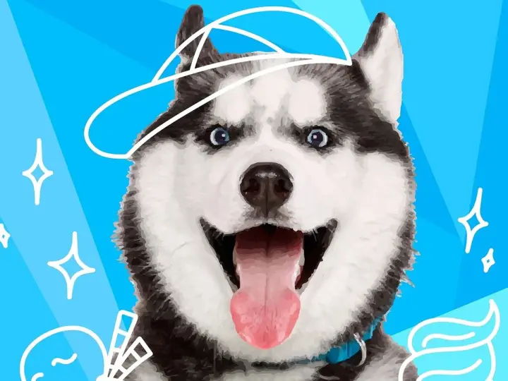 Uśmiechnięty husky w czapce z daszkiem. Ta rasa psa na e jest gotowa na przygodę, z niebieskimi oczami i wystawionym językiem.