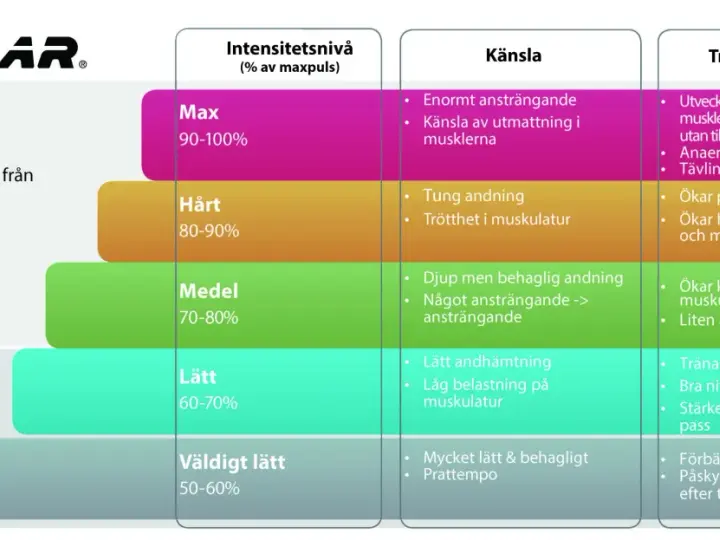Polar-diagram som visar intensitetsnivåer, känsla och träningseffekt. Pulsson 3 (medel, 70-80%) ökar kondition och muskulär uthållighet.