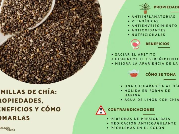 Semillas de chía, fuente de chia proteinas, con propiedades antiinflamatorias y beneficios para saciar el apetito.