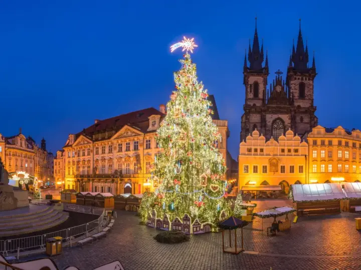 Jarmark bożonarodzeniowy w Pradze. Ogromna, oświetlona choinka na Rynku Staromiejskim, w tle gotycka architektura i zabytkowe kamienice.