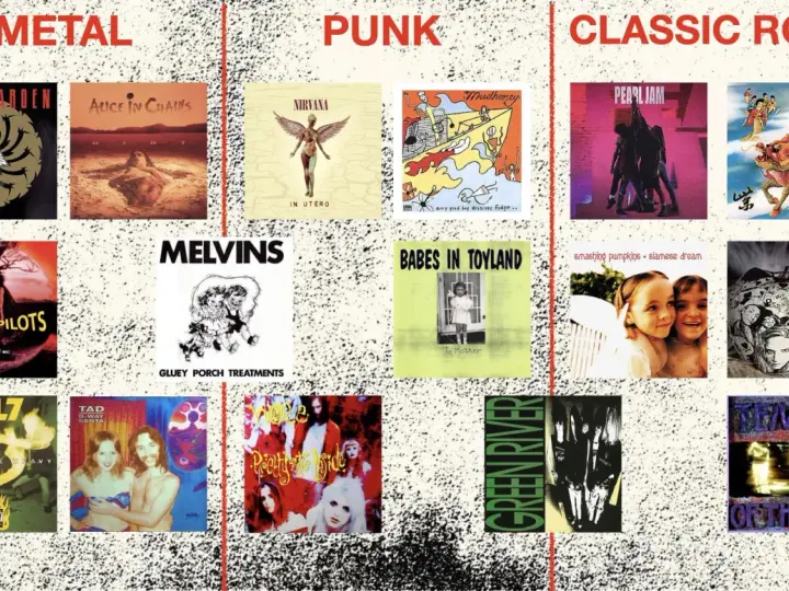 Okładki płyt zespołów takich jak Nirvana, Mudhoney, Babes in Toyland. To właśnie co to punk!