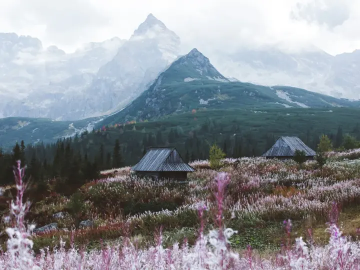 Zakopane czy Bukowina Tatrzańska – gdzie warto spędzić urlop?