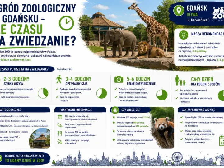 Ile czasu na zwiedzanie zoo w Gdańsku? Na szybką wizytę 2-3h, optymalnie 3-4h, a pełne doświadczenie 5-6h.
