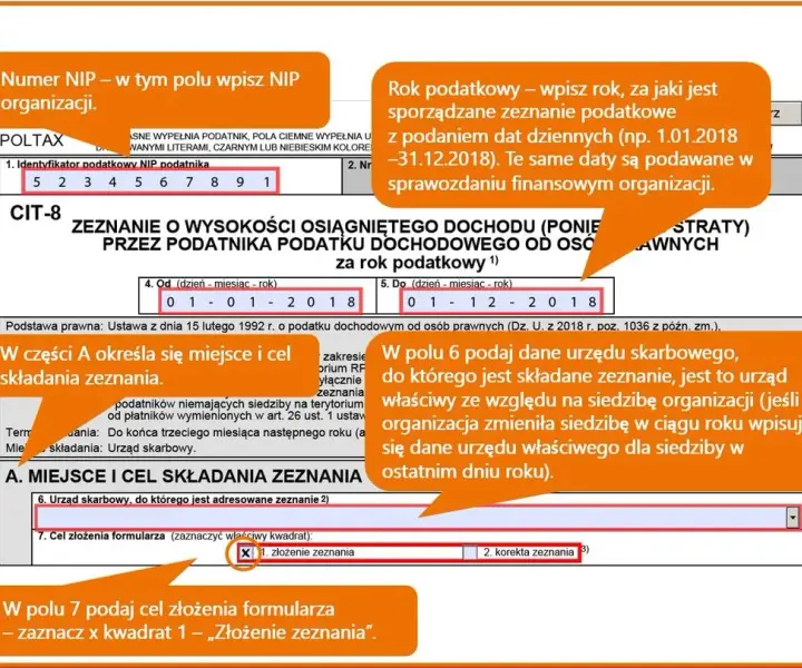 Jak wypełnić CIT-8 w instytucji kultury bez błędów i stresu