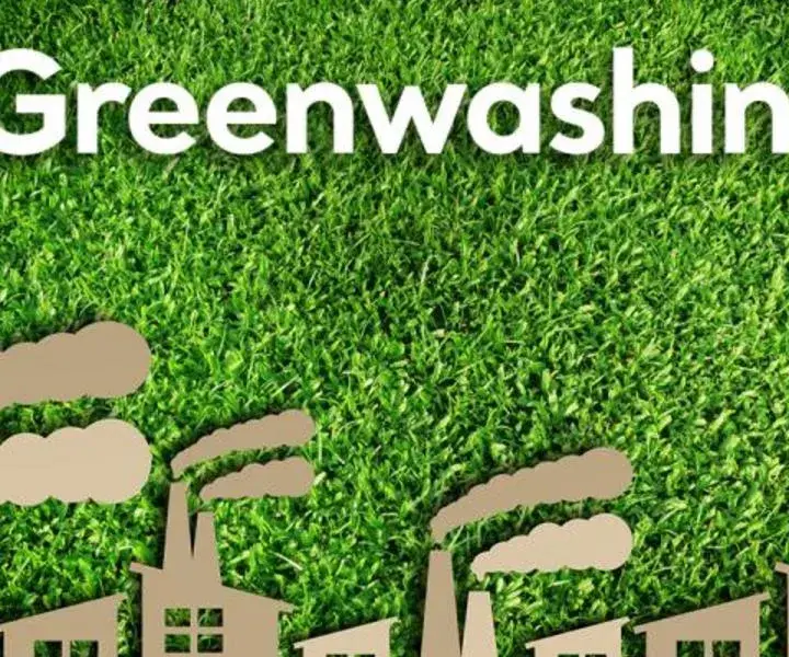 Co naprawdę kryją opinie klientów o firmie Green Energy? Fakty