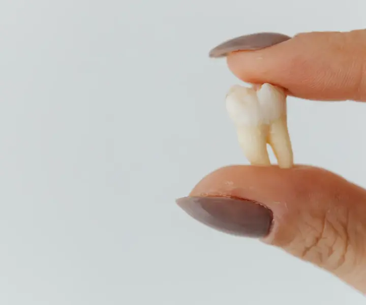 Co dentysta robi z wyrwanym zębem? Ważne informacje o utylizacji