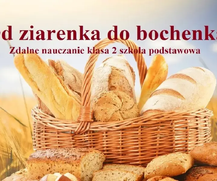 Jak powstaje chleb film edukacyjny dla dzieci - prosta i ciekawa nauka