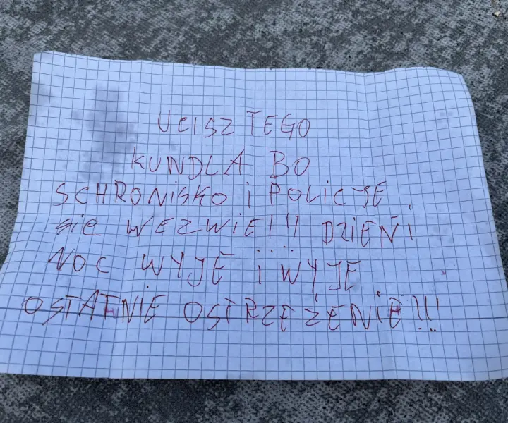 Jak zgłosić szczekającego psa w bloku i odzyskać spokój