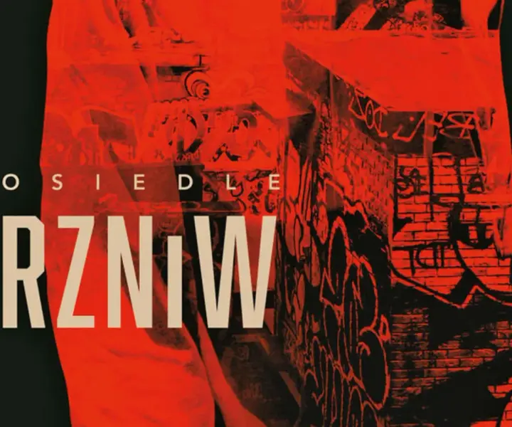 Osiedle RZNiW – co to znaczy? Odkryj mroczne tajemnice książki