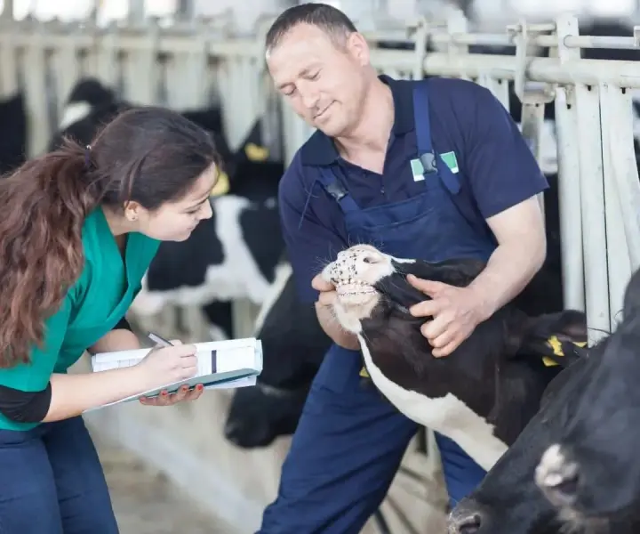 Ile zarabia technik farmacji na stażu? Zaskakujące różnice w wynagrodzeniach