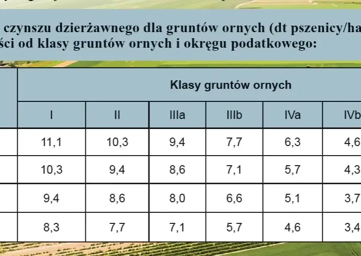 Czynsz dzierżawny co to jest i jak uniknąć niekorzystnych warunków