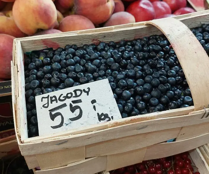 Gdzie na jagody śląskie? Najlepsze miejsca na słodkie owoce w Lesie