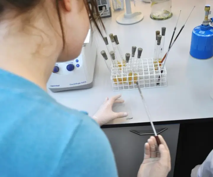 Biologia sądowa – czy warto studiować? Perspektywy, zarobki i wady kierunku