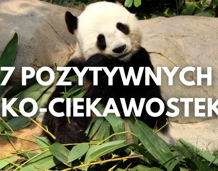 Zaskakujące ciekawostki ekologiczne - fakty, które zmienią twoje życie