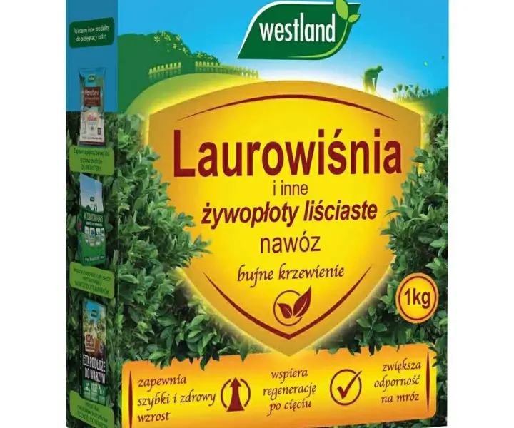 Jaki nawóz do laurowiśni? Odkryj najlepsze sposoby na zdrowe rośliny