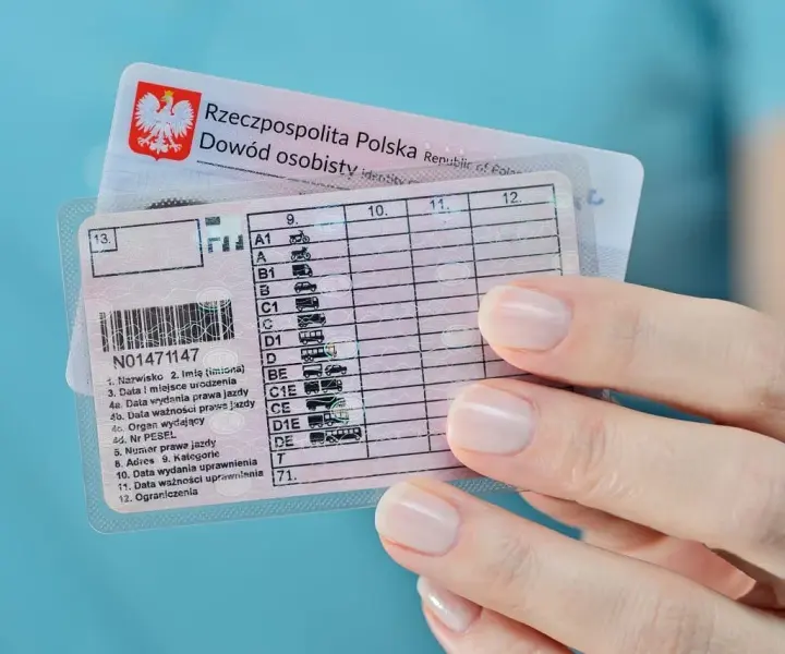 Zdany Egzamin Teoretyczny: Co robić dalej po zdaniu egzaminu?