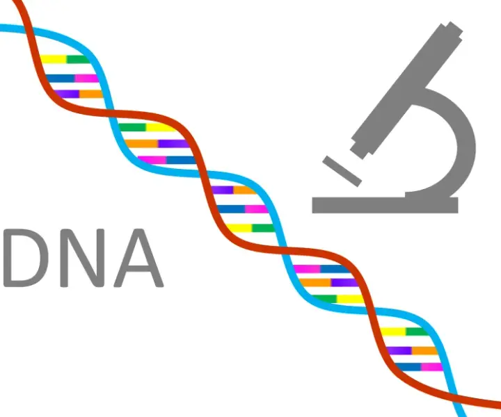 Kiedy wynaleziono badania DNA i jak zmieniły kryminalistykę