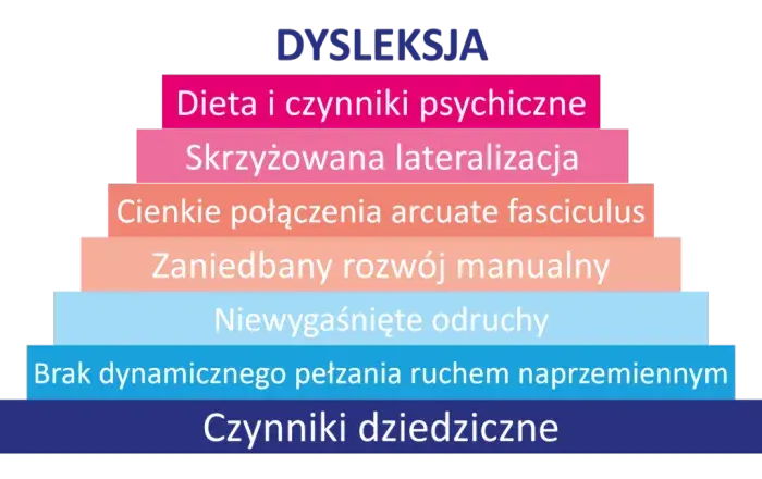 Czy dysleksja jest dziedziczna? Wpływ genów na jej rozwój