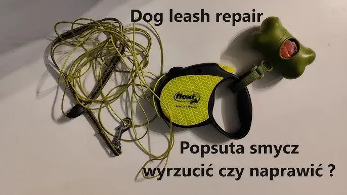 Jak naprawić zepsutą smycz automatyczną w domu bez kosztownej wizyty u specjalisty