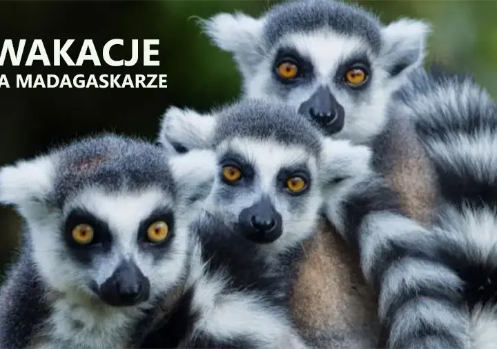Czy na Madagaskarze jest bezpiecznie? Oto, co musisz wiedzieć przed wyjazdem