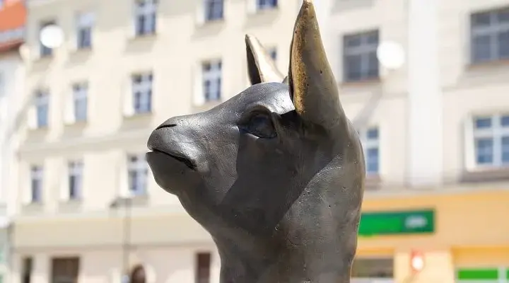 Najlepsze atrakcje Kędzierzyn Koźle, które musisz zobaczyć