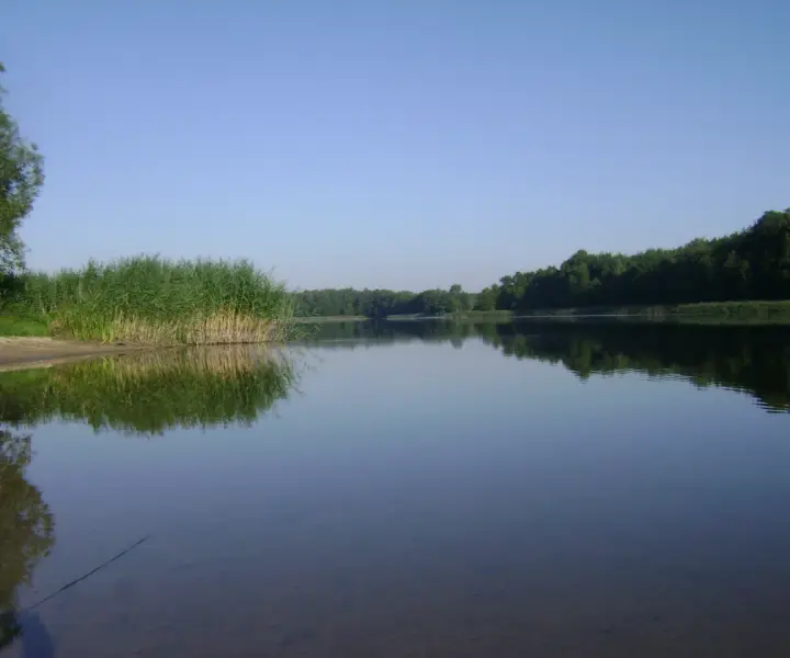 Jezioro Łąkie - największy akwen w gminie Skępe: mapa, głębokość i atrakcje