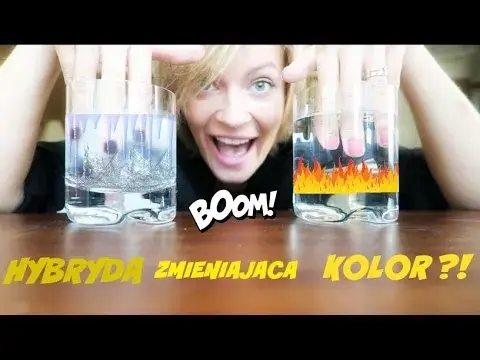 Dlaczego hybryda zmienia kolor? 5 zaskakujących przyczyn