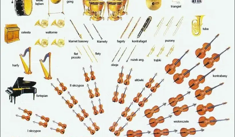 Orkiestra smyczkowa jakie instrumenty? Poznaj skład i ich rolę