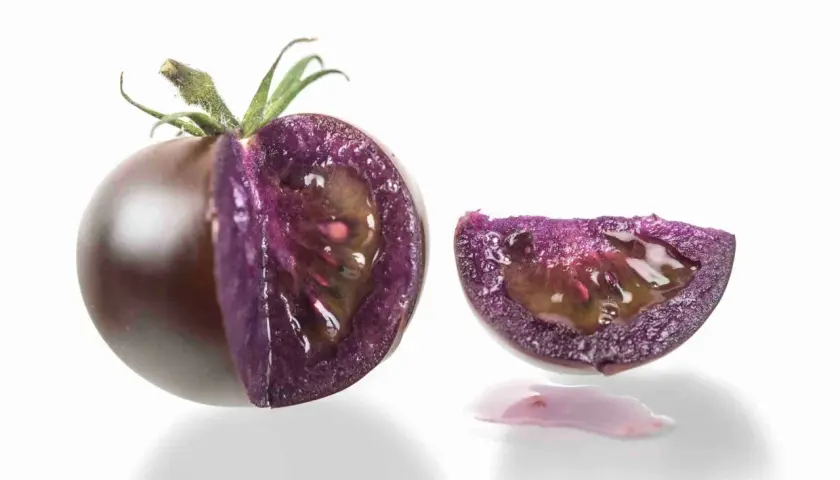Un pomodoro viola, tagliato a metà, rivela la sua polpa succosa e un'insolita fetta con gocce di succo viola.