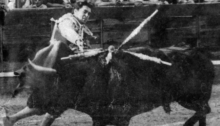 El toro que mató a Paquirri, en la plaza, con las banderillas clavadas.