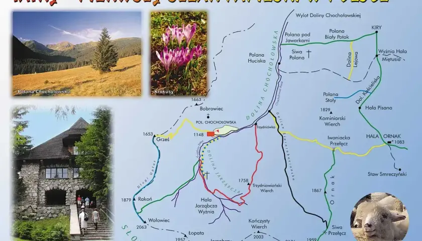 Mapa Tatr z zaznaczonym szlakiem papieskim, widok na Polanę Chochołowską, krokusy i schronisko.