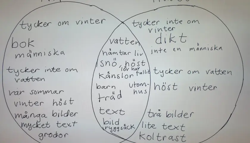 Venn-diagram som jämför Alf och Trädet. Alf gillar vinter, böcker och människor. Trädet gillar inte vinter, men tycker om vatten och höst. I mitten finns saker som kan dikt vara, som snö, känslor och barn.