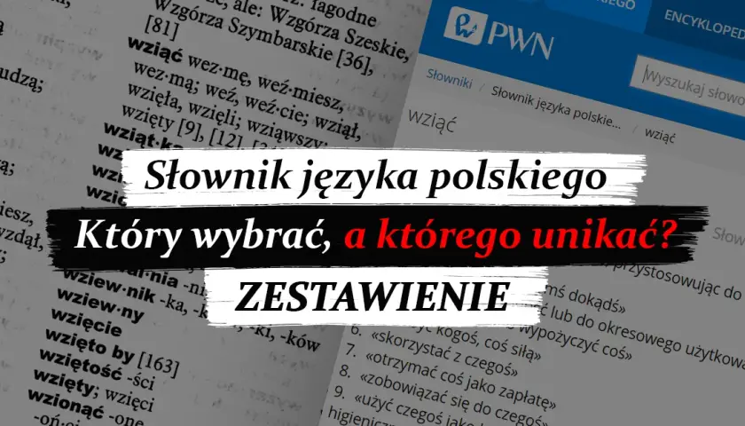 Słownik języka polskiego: Typy, online i jak wybrać idealny?
