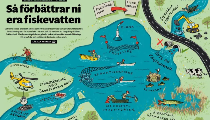 Illustration visar hur man förbättrar bra fiskevatten genom åtgärder som provfiske, e-DNA, lekgrus och återställning av våtmarker.