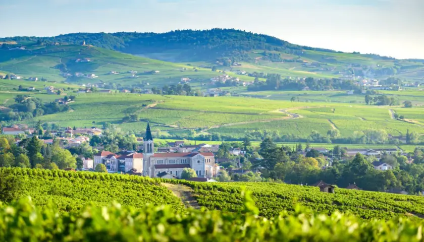 Paysage de vignobles verdoyants et de villages pittoresques, typique des plus beaux villages du Beaujolais.