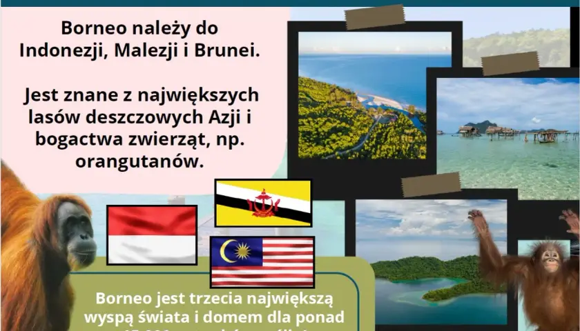 Borneo, trzecia największa wyspa świata, słynie z lasów deszczowych i orangutanów. Należy do Indonezji, Malezji i Brunei.