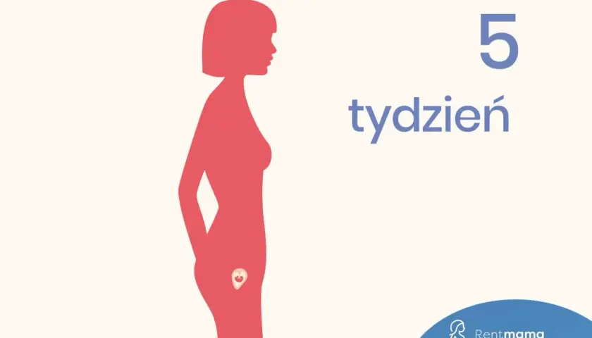 Sylwetka kobiety z zaznaczonym zarodkiem w łonie. Obok widnieje napis "5 tydzień".