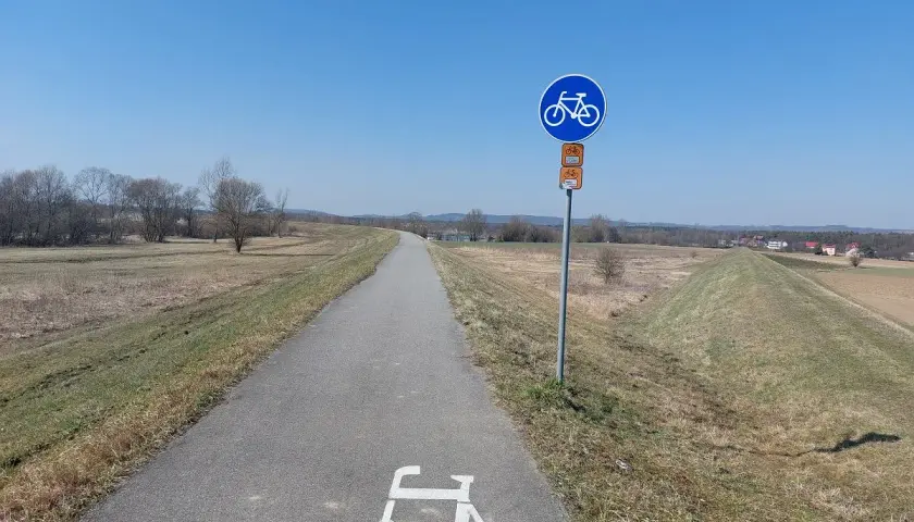 Pusta wiślana trasa rowerowa Oświęcim - Kraków, z oznakowaniem i malunkiem roweru na asfalcie.
