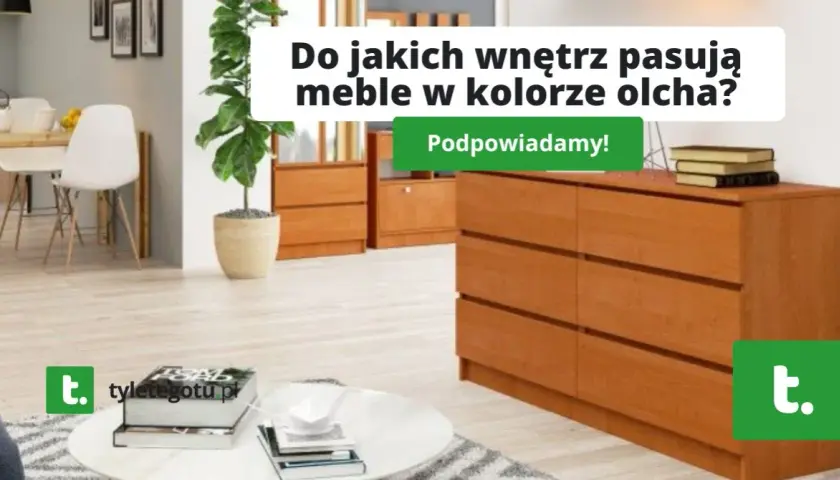 Olcha w salonie: Jak dobrać idealny kolor ścian? Poradnik